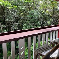 Hostel-Zimmer zum Regenwald