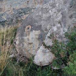 Wer das wohl ist 🤔😂