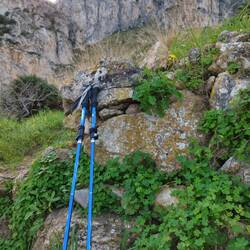 Endlich dürfen die beiden auch mal wieder mit 😂
