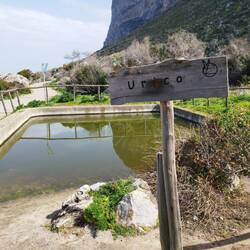 Übersetzt: Harnsäure 🤔 ob das stimmt?