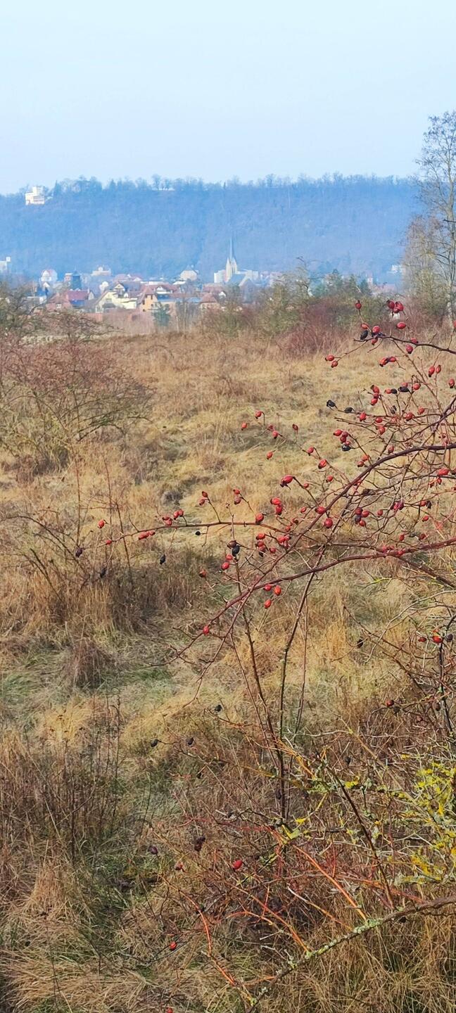 Sahara Staub liegt in der Luft