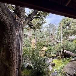 Innengarten des Samurai-Hauses