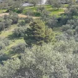 ..hin und wieder müssen wir aussteigen nur um zu SCHAUEN und noch tiefer im Moment zu SEIN ❤️🇬🇷🥰