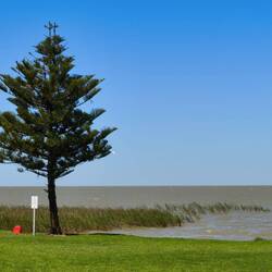 Lake Alexandria...