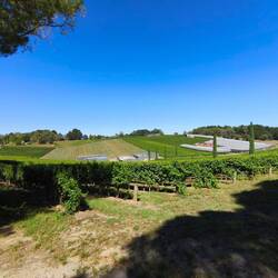 Adelaide Hills - Weingut Blefari Wines bei Uraidla