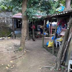 Geordnetes Chaos im Hinterhof