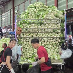 Ladungssicherung perfekt?