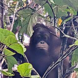 George, etwas grimmig...