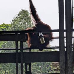 Ganti oben auf der Beobachtungsplattform