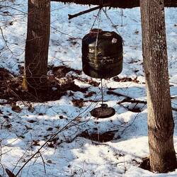 Futterhaus, Vögel, Eichhörnchen und Co. tummeln sich unweit der Wohnung der 4 W's inkl. Laufstrecke.