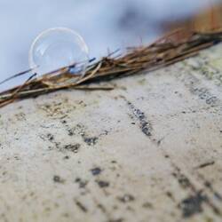 Seifenblase - Photo made by Fiete.