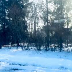 Eine Reise durch Litauens Schneelandschaft.