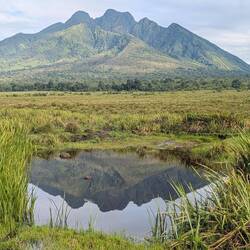 Good bye Singita Volcano Rwanda. I might see you again on my 70th