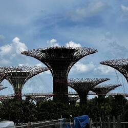 Gardens by the bay
