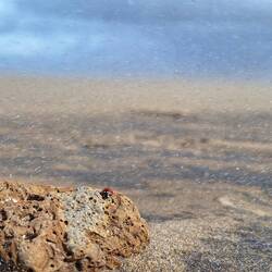 Das Leben im Sandsturm...