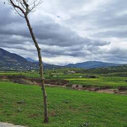 Marokko überrascht mit saftigem grün