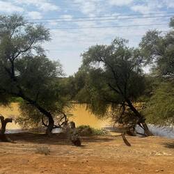 Nebenarm des Senegalfluss