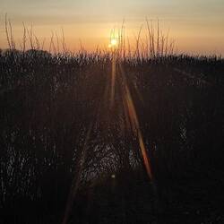 direkter Blick aus meinem Camper
