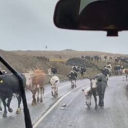 Ganz normaler Verkehr hier