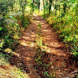 Piste von Offroad Hüpfern. Aber dafür Ruhe