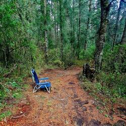 Flucht vom Lärm. Hier war Ruhe.