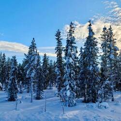 Spazieren am Fluss 🏃🏽 🥾