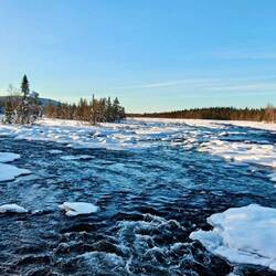 Spazieren am Fluss 🏃🏽 🥾