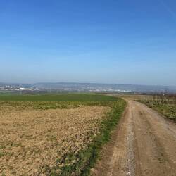 Blick über die Felder