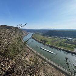 Mosel & Moseltalbrücke