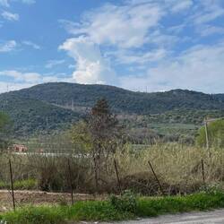 sieht von unten harmlos aus: Monte Giovi