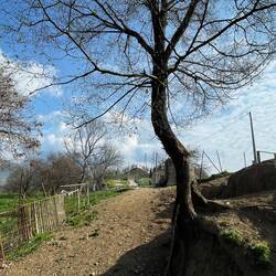 den Stock hatte ich dringend gebraucht 😮‍💨