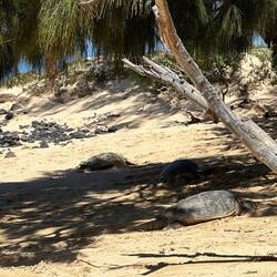 Die anderen bevorzugten eher Schatten
