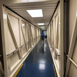 Janosch auf dem Weg nach Maui.. 😄