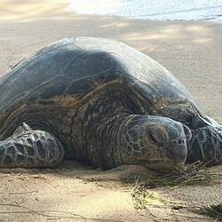 Geschafft (in zweierlei Hinsicht...)