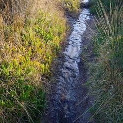 Immer wieder überflutete Wege