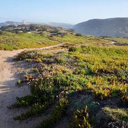 Auf dem richtigen Weg!