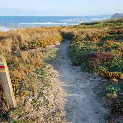 Sehr schöne Wege auf den Klippen.