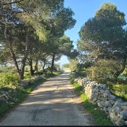 Also geht die Reise weiter 🚐 ...