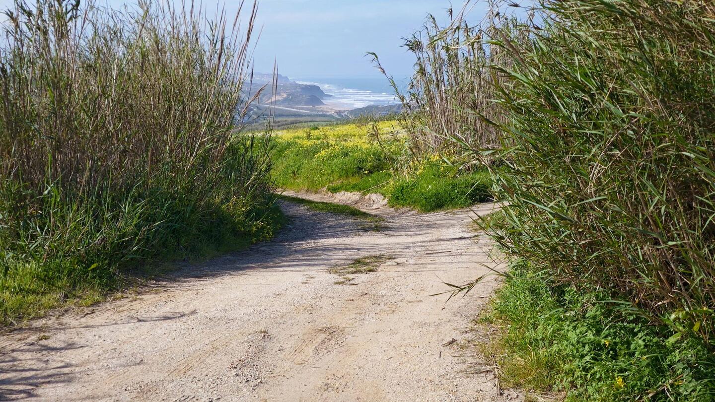 Es geht ins Landesinnere....