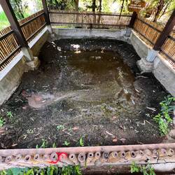 Massengrab der 166 geköpften Soldaten