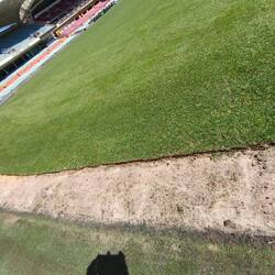 Rasenersatz im Adelaide Oval - Stadion