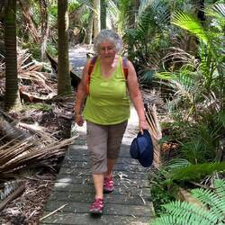 Beverly bringing more green to the scene