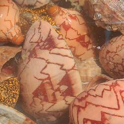 What is this (other than beautiful)?