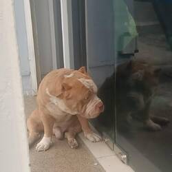 First in the boat queue