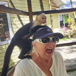 Susan made a new friend