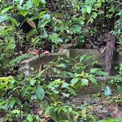 Auf der Suche nach dem versteckten Essen...