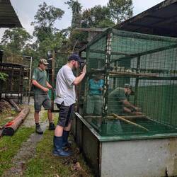Vogelkäfig wird präpariert