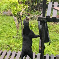 Muss ich da wirklich hoch?