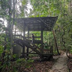 Von da oben können wir die Bären beobachten