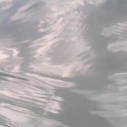 Versuch den Walgesang aufzunehmen, leider mit vielen Nebengeräuschen. (Es geht nur um den Ton 🫣)